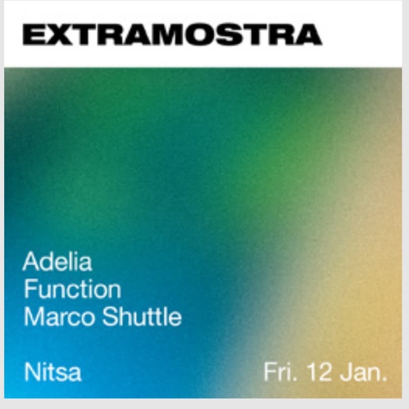 Flyer: Friday 12 January, Nitsa